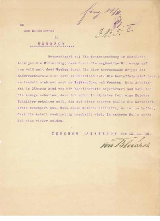 Blauer Text (Schreibmaschine) mit handschriftlichen Notizen: Mitteilung des Gutsbesitzers von Blücher auf Teschow (Heute Ortsteil von Teterow) vom 13.11.1918, über den Stand der dortigen Erntearbeiten