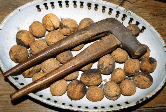 Nusskacker in einer Schale mit Wallnüssen