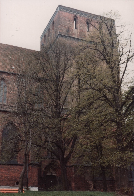 Blick nach schräg oben zum Kirchturm der Petrikirche Rostock, davor Bäume, die noch kein Laub tragen.