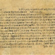 Formular eines Ablassbriefes der Rostocker Bruderschaft vom Gemeinsamen Leben  (nicht vor 1500).