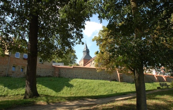 Sternberg_stadtmauer_mittelalter Bild