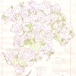 Grundlagenkarte LPG Dorf Mecklenburg