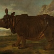 Gemälde Rhinozeros (Nashorn) von Jean-Baptiste Oudry