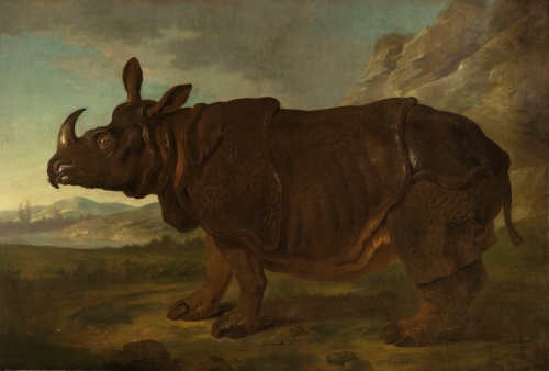 Gemälde Rhinozeros (Nashorn) von Jean-Baptiste Oudry